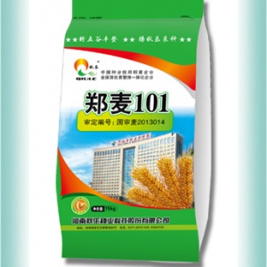 鄭麥101